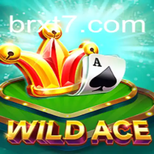 Exploring the World of WildAce: An In-Depth Guide to Gameplay and Strategies